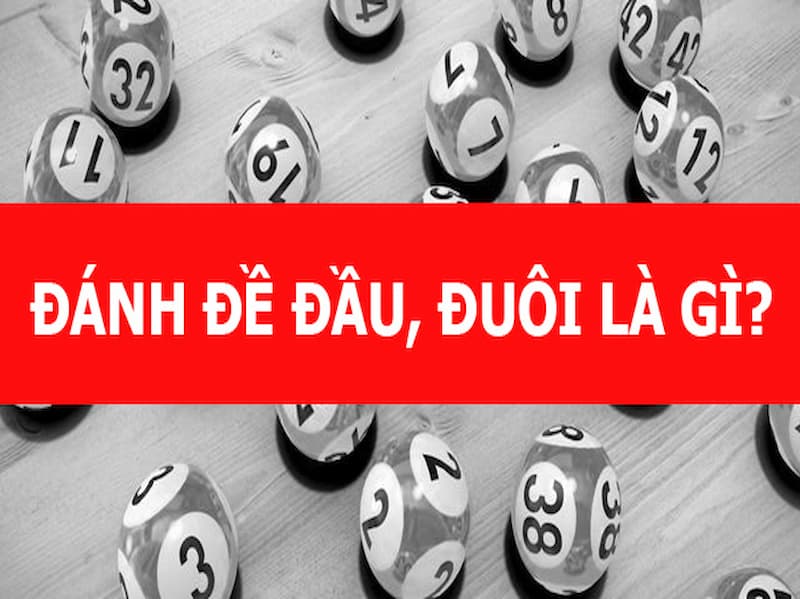 dau dit cam thi danh lo con gi 6821ba0a0173d
