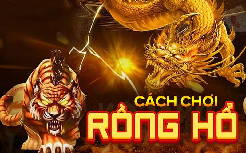 rong ho nha cai fun88 6821ba261081b